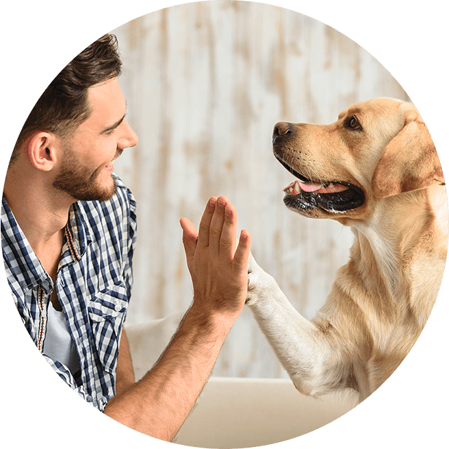 Tutor e cachorro batendo as mãos